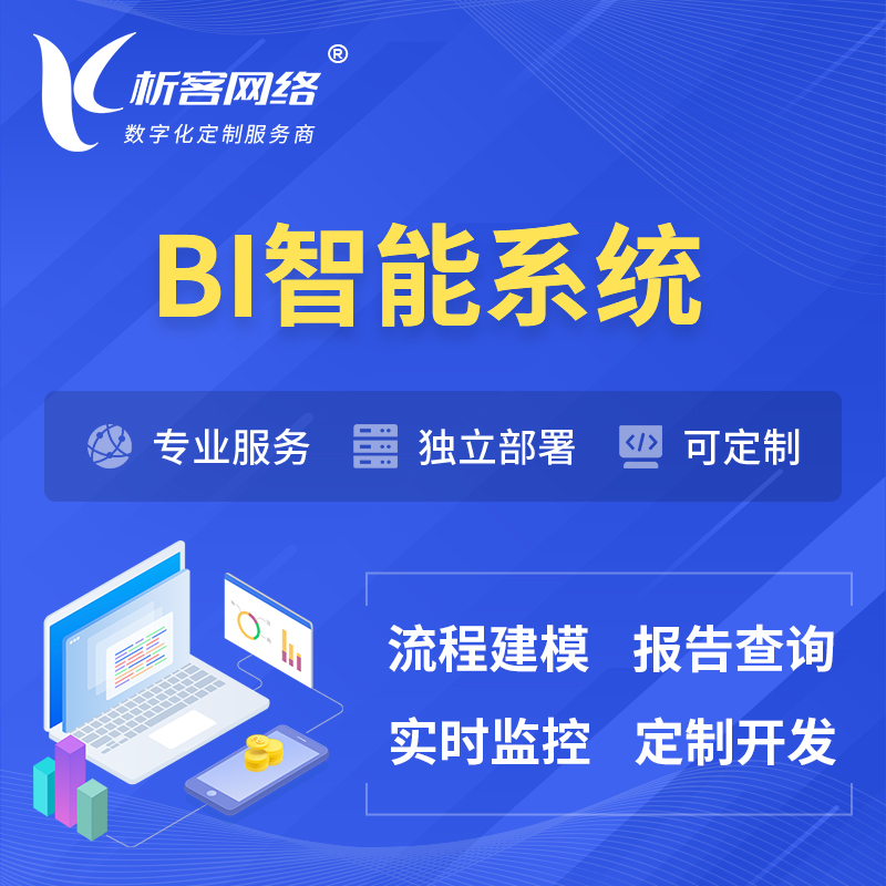 广安BI智能系统 | BI数据可视化